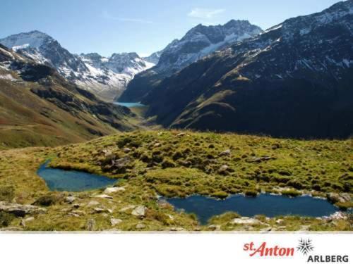 Haus Birgit Pettneu am Arlberg Exterior foto